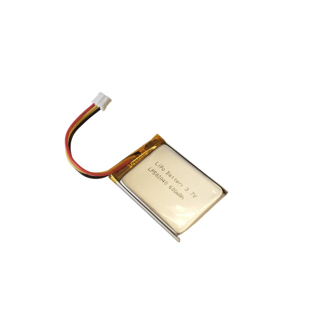 Replacement Battery for Flow Controller for exterior cleaning and water-fed window cleaning operators